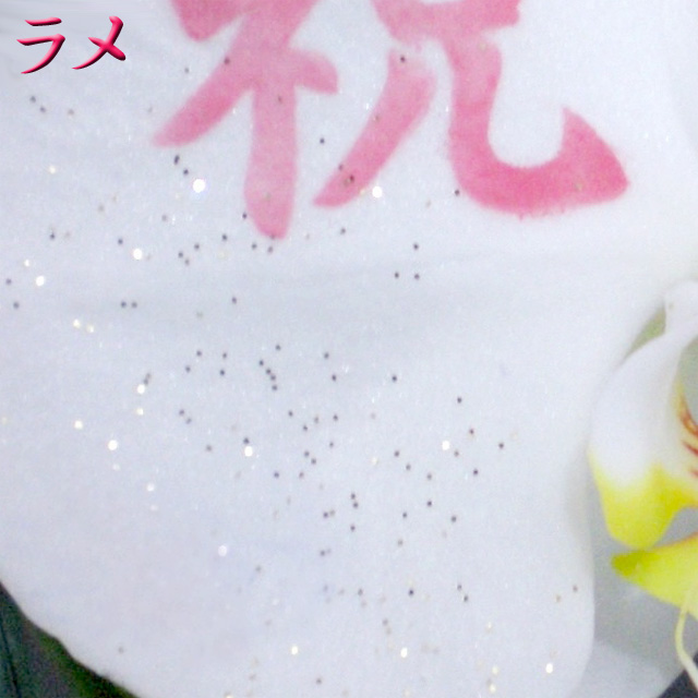 化粧蘭　ラメサンプル