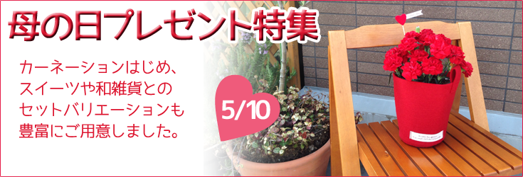 母の日プレゼント商品一覧　カーネーション、ミディ胡蝶蘭、お菓子、雑貨