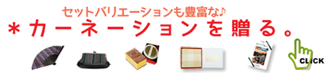 母の日にカーネーションを贈る。カーネーションの鉢植え、お菓子や雑貨、カタログギフトのセットも充実。商品一覧へ