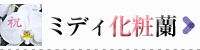 ミディ化粧蘭の商品一覧｜フラワーギフト通販ミーム