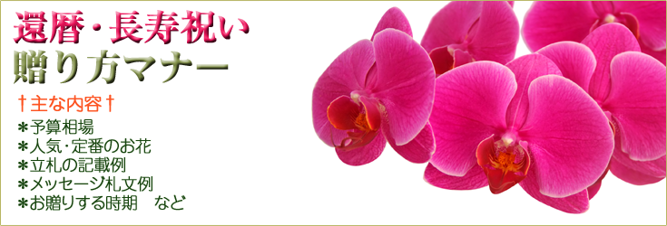 還暦などの長寿のお祝い、敬老の日のプレゼントの贈り方のマナー　胡蝶蘭、フラワー、観葉植物