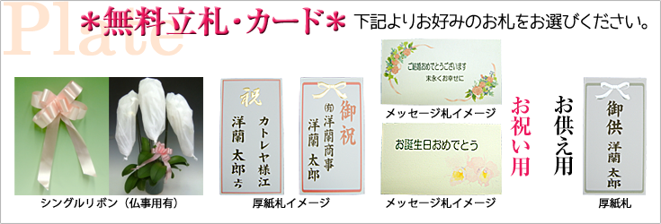 森田洋蘭園　立札（メッセージカードとリボン）
