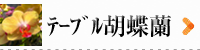 胡蝶蘭　テーブル　商品一覧ページへ