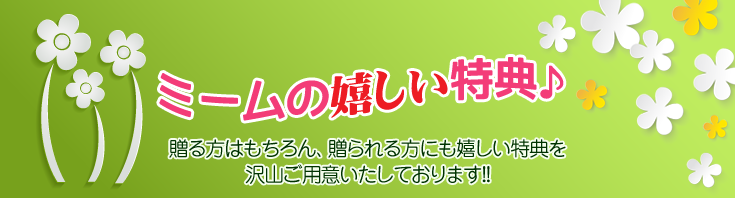 胡蝶蘭とお祝いの花専門店 ［フラワーギフト通販ミーム］の嬉しい特典をご紹介します。