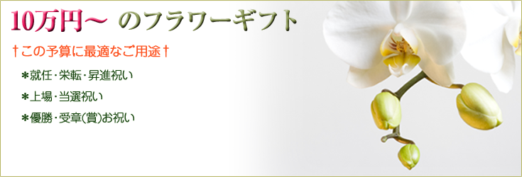 1０万円以上からお選びいただけるフラワーギフト　胡蝶蘭、ミディ胡蝶蘭、観葉植物